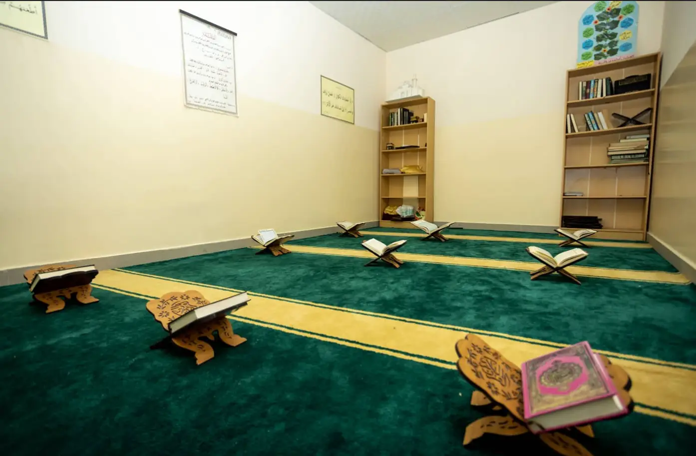 معرض الصور 10